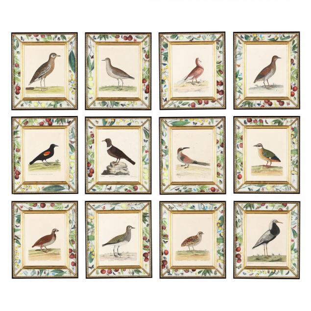twelve-12-ornithological-prints-by-eleazar-albin-british-active-1713-1759