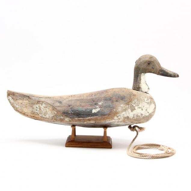 carved-pintail