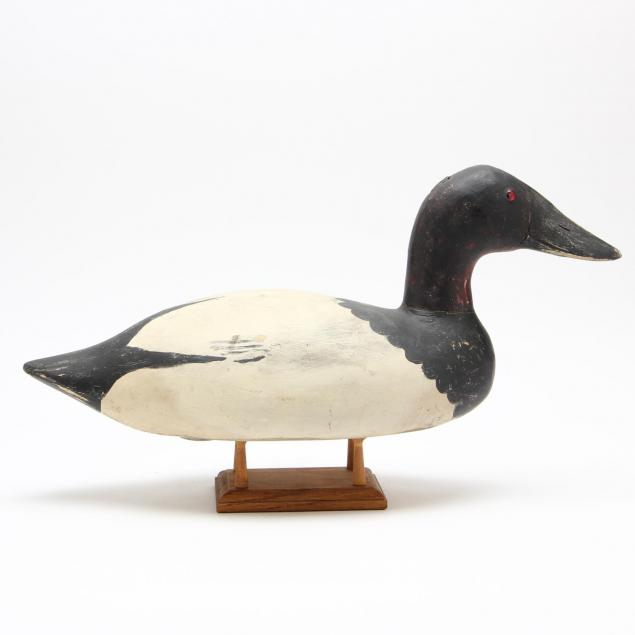 canvasback