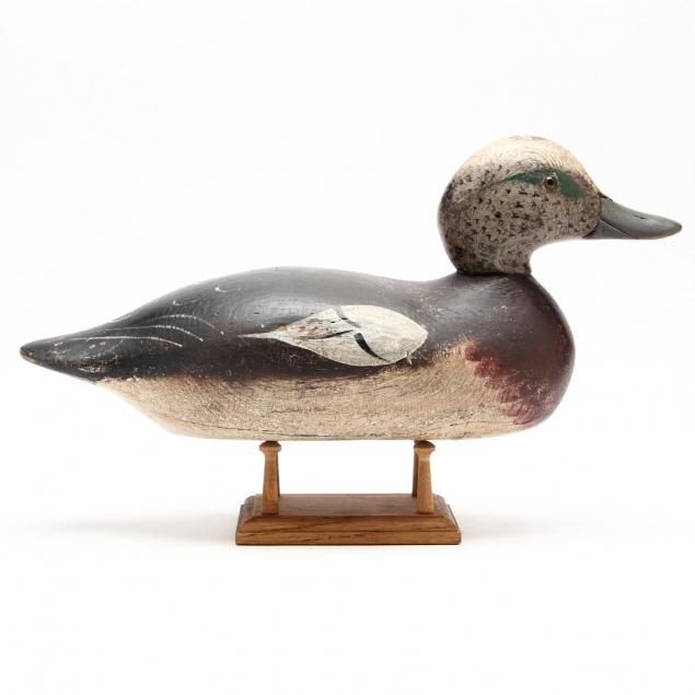 widgeon-drake