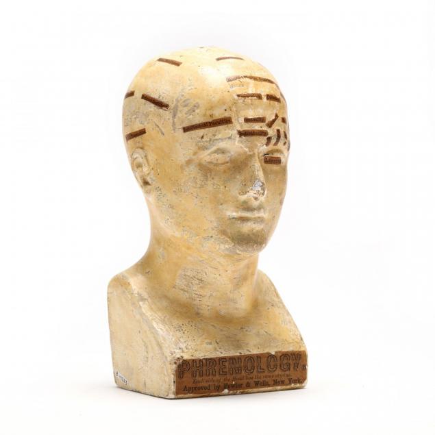 antique-plaster-phrenology-bust