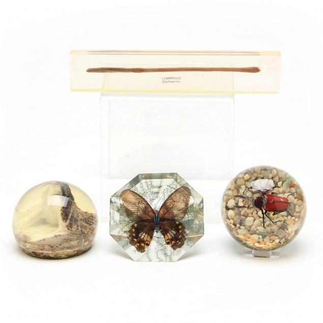 four-naturalist-resin-paperweights