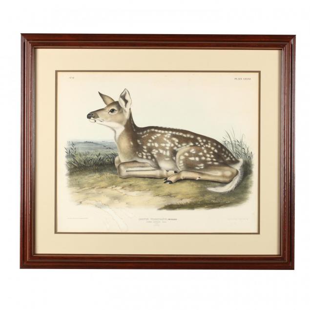 after-john-james-audubon-am-1785-1851-plate-lxxxi-common-american-deer