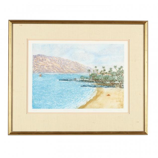 david-warren-am-20th-century-i-wailea-beach-i