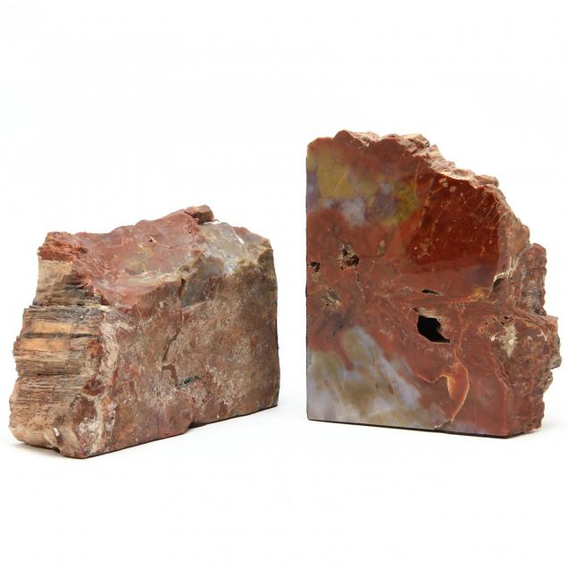 pair-of-arizona-petrified-wood-bookends