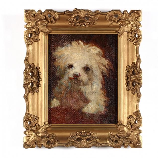 american-school-portrait-of-a-small-dog