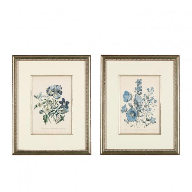 pair-of-floral-prints-from-jane-webb-loudon-s-i-the-ladies-flower-garden-i