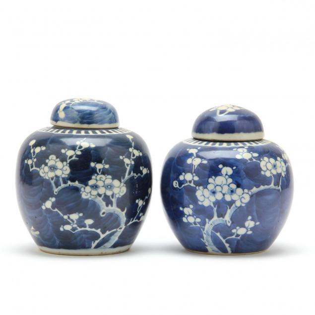 a-pair-of-chinese-blue-and-white-ginger-jars