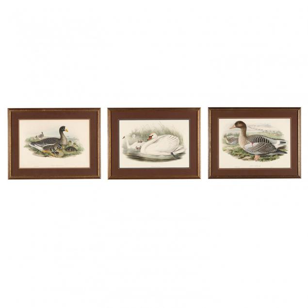 j-gould-h-c-richter-19th-century-three-hand-colored-lithographs-from-john-gould-s-i-the-birds-of-great-britain-i