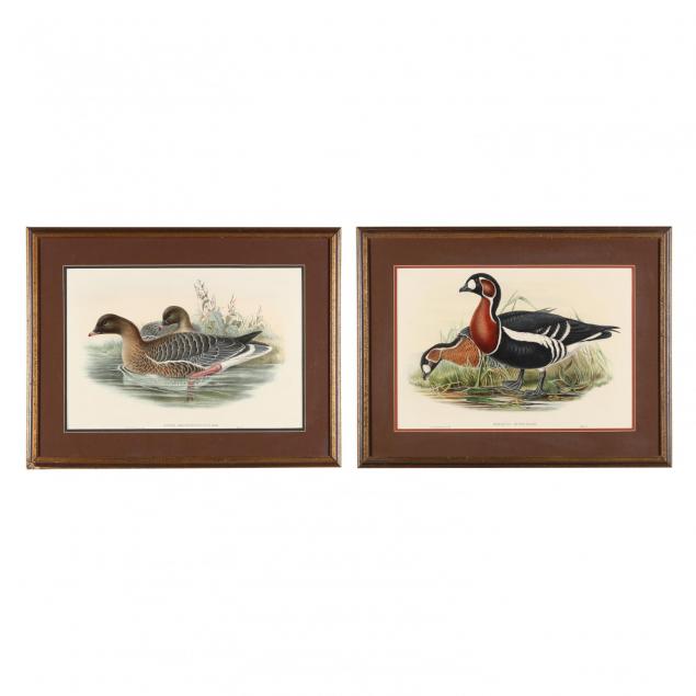 pair-of-goose-prints-from-john-gould-s-i-the-birds-of-great-britain-i