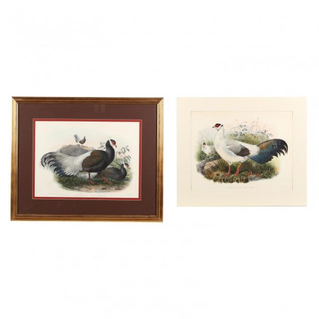 two-prints-depicting-eared-pheasants-from-daniel-giraud-elliot-s-i-monograph-of-the-phasianidae-or-family-of-the-pheasants-i