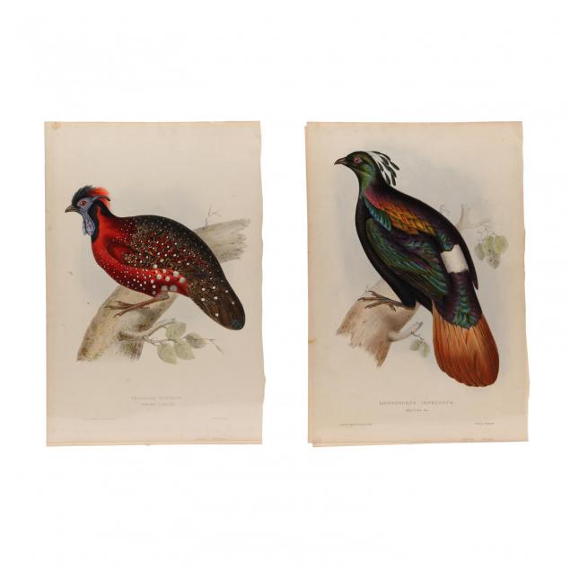 elizabeth-gould-1804-1841-two-prints-from-john-gould-s-i-a-century-of-birds-from-the-himalaya-mountains-i