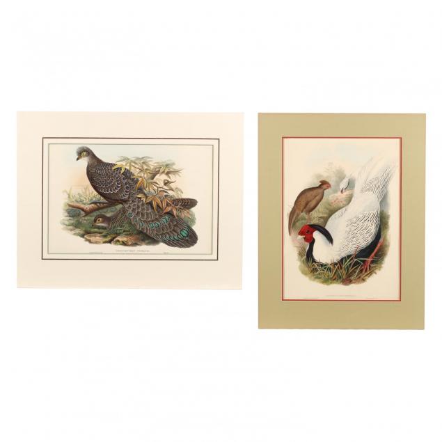 j-gould-h-c-richter-19th-century-two-pheasant-prints-from-john-gould-s-i-the-birds-of-asia-i