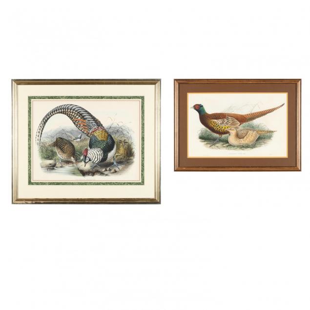 pair-of-framed-hand-colored-ornithological-lithographs-elliot-and-gould