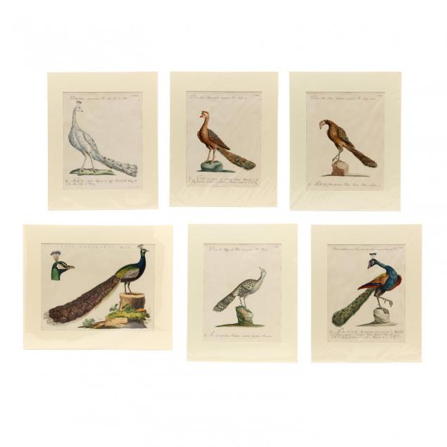 group-of-6-18th-century-prints-depicting-peacocks-by-manetti-and-nozeman