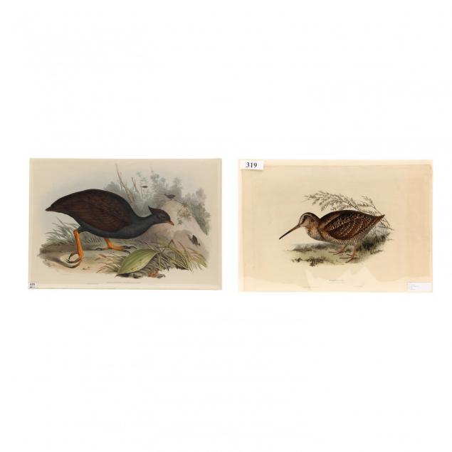 j-e-gould-h-c-richter-british-19th-century-two-prints-from-john-gould-s-i-the-birds-of-europe-i
