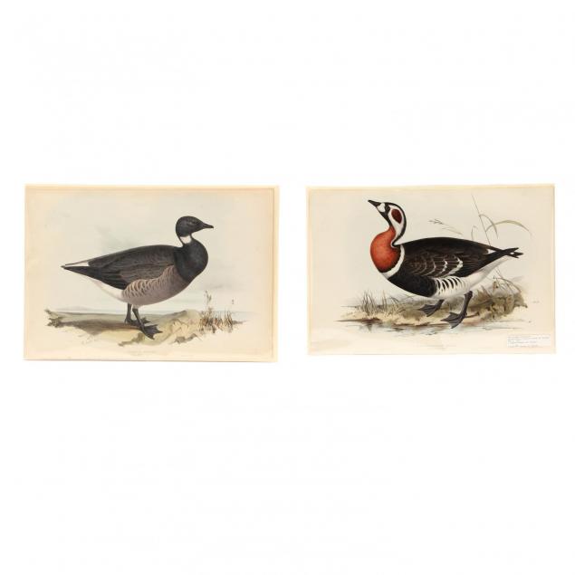 edward-lear-british-1812-1888-pair-of-goose-prints-from-john-gould-s-i-the-birds-of-europe-i