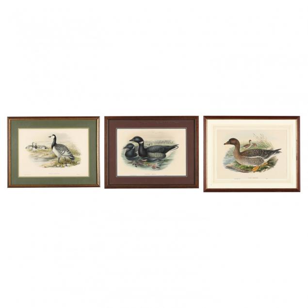 three-prints-depicting-wildfowl-from-john-gould-s-i-the-birds-of-great-britain-i