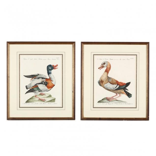 saverio-manetti-italian-1723-1784-pair-of-engravings-picturing-ducks