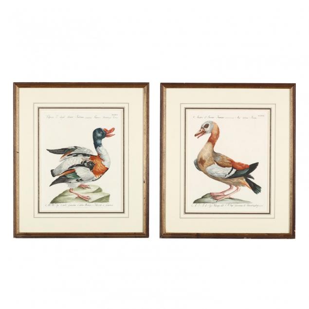 saverio-manetti-italian-1723-1784-pair-of-engravings-picturing-ducks