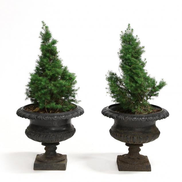 pair-of-cast-iron-garden-urns