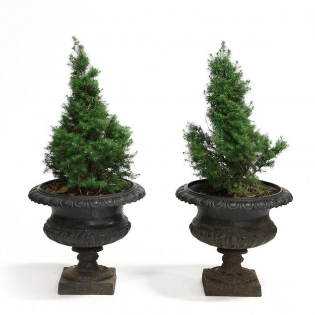 pair-of-cast-iron-garden-urns
