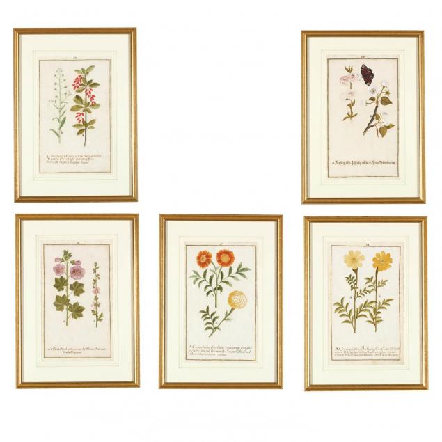 german-school-group-of-five-original-watercolor-botanicals
