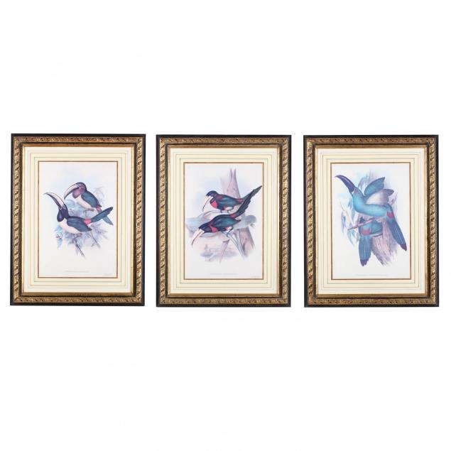 group-of-3-toucan-prints-after-gould-and-richter