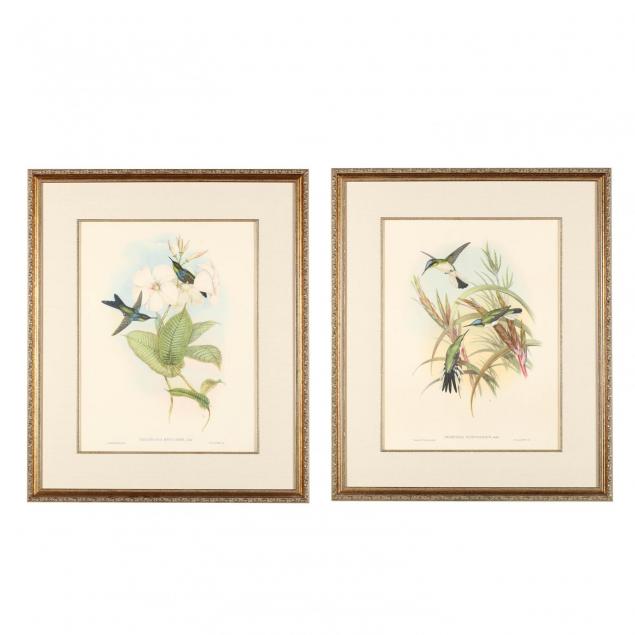 group-of-2-hummingbird-prints-after-gould-and-richter