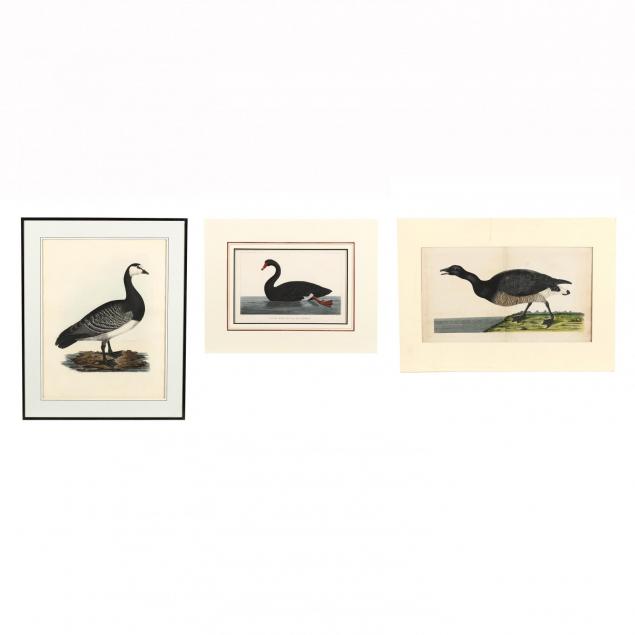 group-of-3-large-hand-colored-goose-engravings
