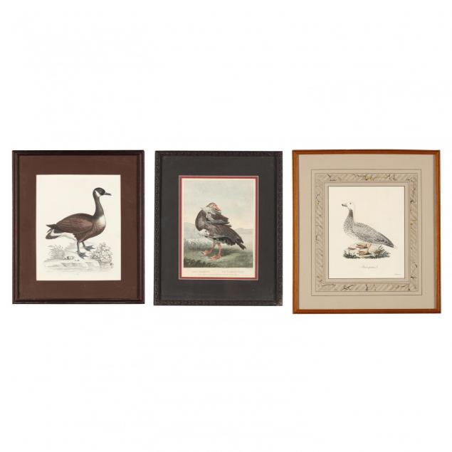 three-antique-framed-goose-engravings