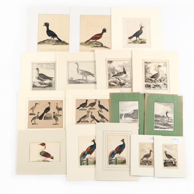 group-of-16-assorted-18th-19th-century-ornithological-prints