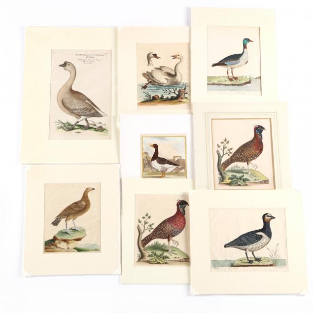 group-of-8-18th-century-hand-colored-ornithological-engravings