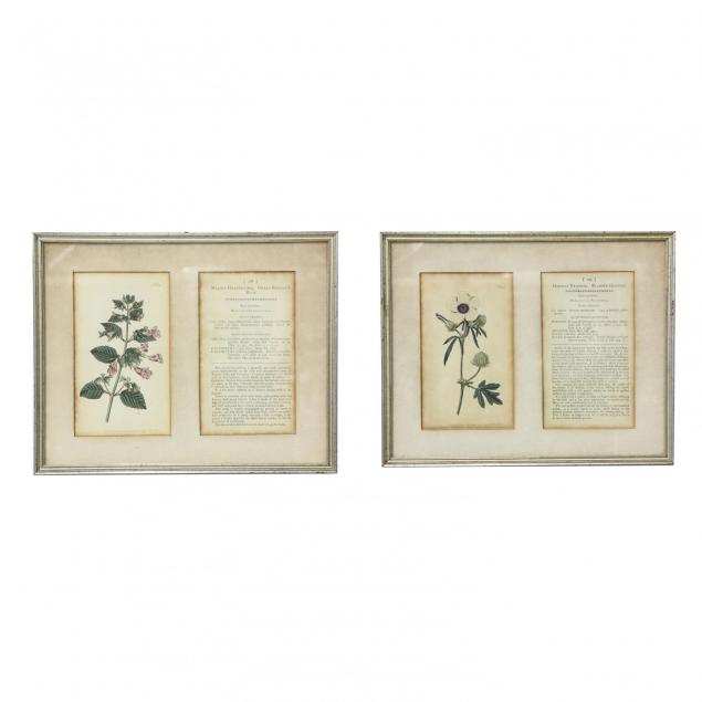 pair-of-framed-floral-bookplate-prints