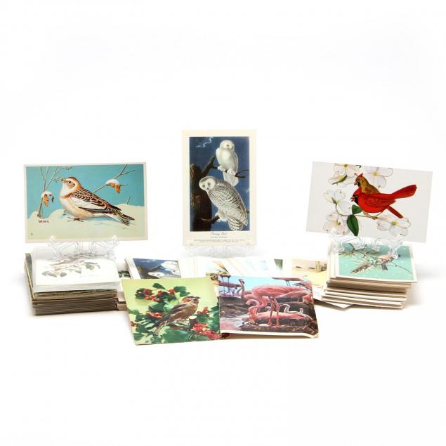 200-bird-series-postcards