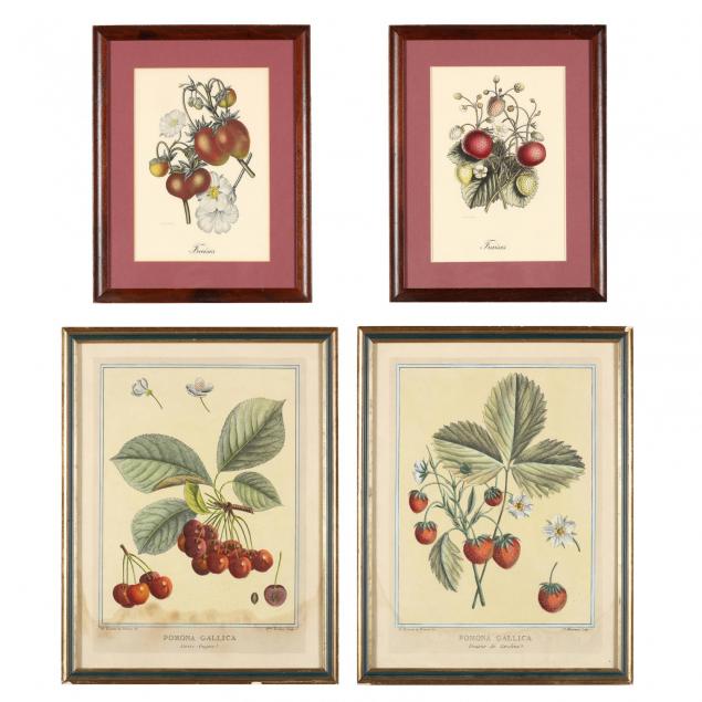 four-hand-colored-prints-with-fruit-19th-century