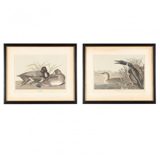 after-john-james-audubon-american-1785-1851-two-prints-from-i-birds-of-america-i