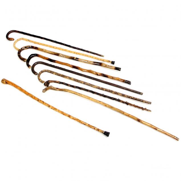 nine-antique-natural-formed-canes