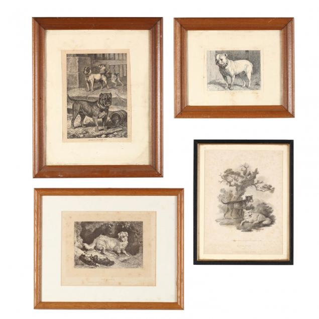 four-antique-english-prints-illustrating-dog-breeds