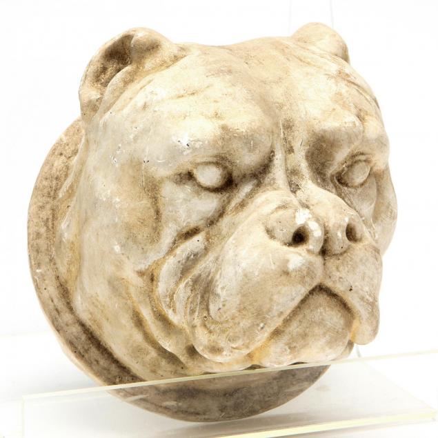 vintage-bulldog-mounted-head