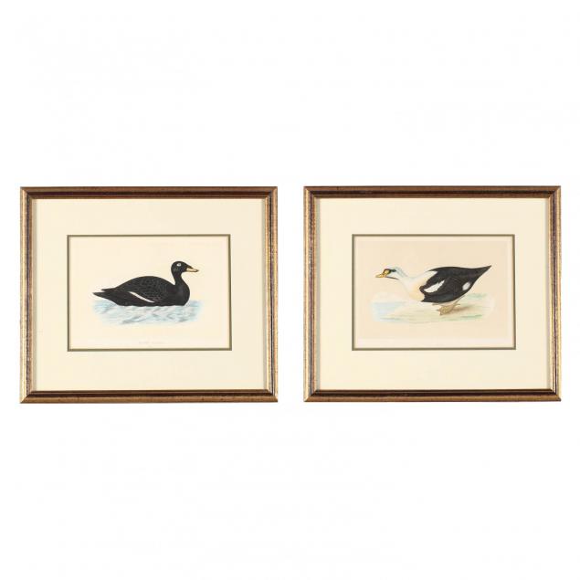pair-of-hand-colored-engravings-from-f-o-morris-s-i-a-history-of-british-birds-i