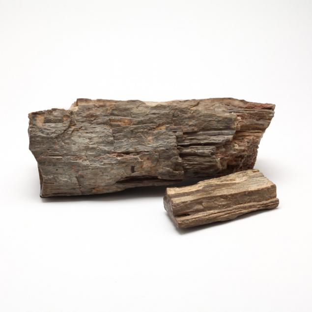two-petrified-wood-specimens