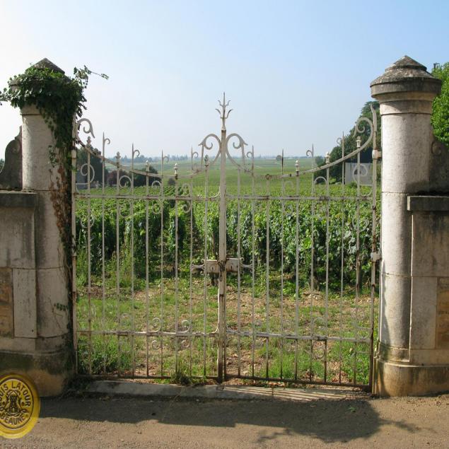 le-bourgogne-vintage-2002