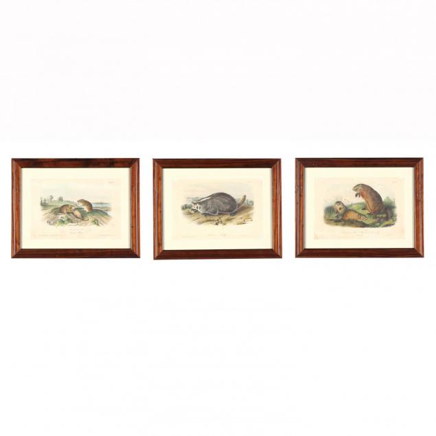 after-john-james-audubon-am-1785-1851-three-prints-from-i-the-viviparous-quadrupeds-of-north-america-i