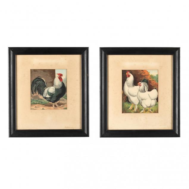 two-antique-j-w-ludlow-poultry-prints