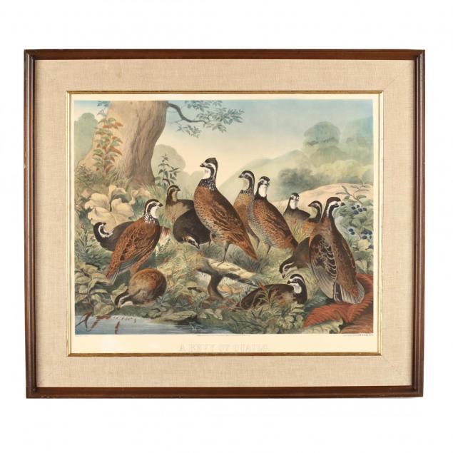 after-j-s-hill-19th-c-i-a-bevy-of-quails-i