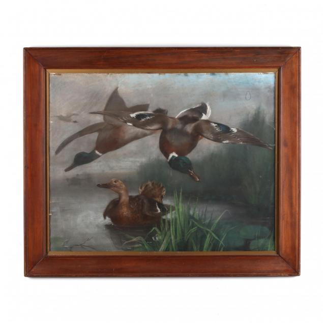 an-antique-pastel-painting-of-mallard-ducks
