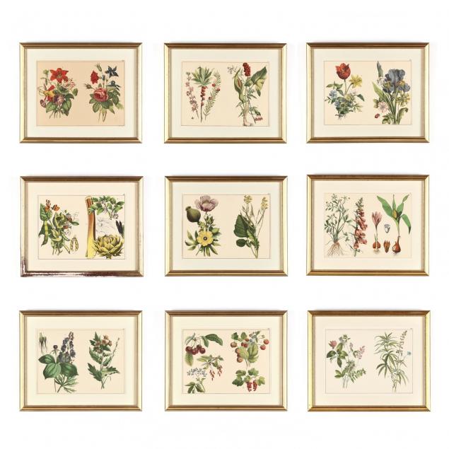 group-of-nine-framed-german-botanical-prints