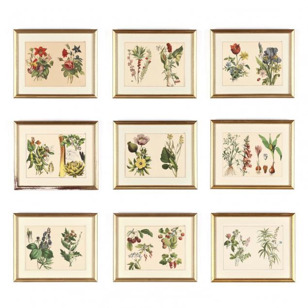 group-of-nine-framed-german-botanical-prints