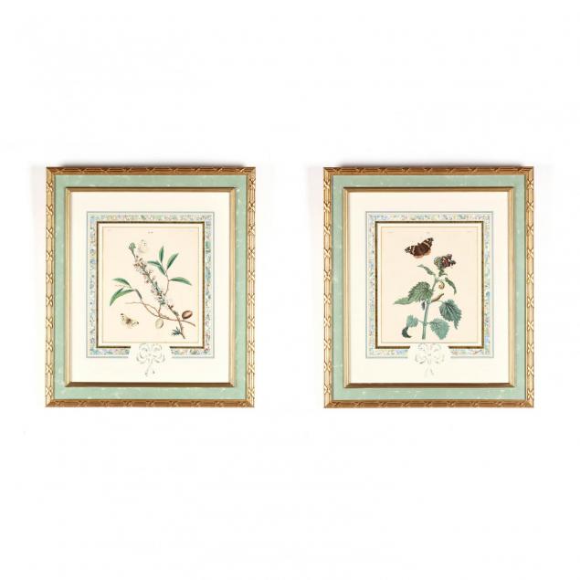 pair-of-antique-botanical-prints